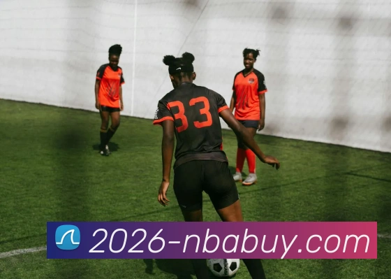 NBA买球网站平台生态图